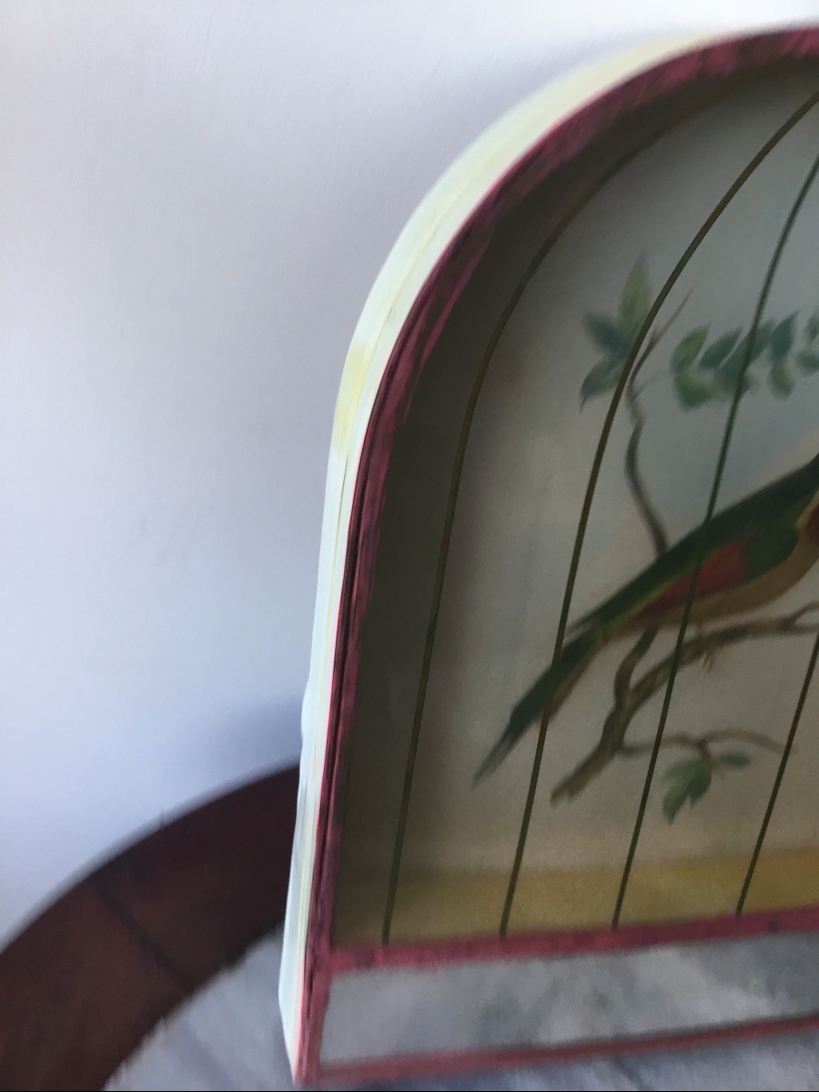 Trompe-l'oeil Birdcage-photo-6