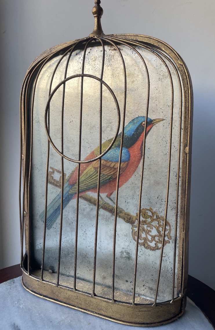 Trompe-l'oeil Birdcage