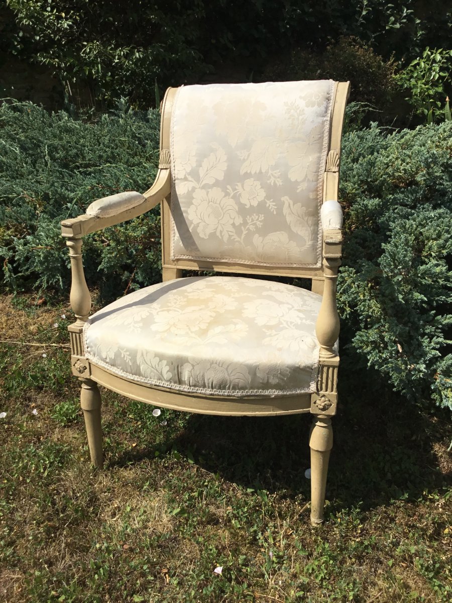 Fauteuil Laqué Directoire-photo-3