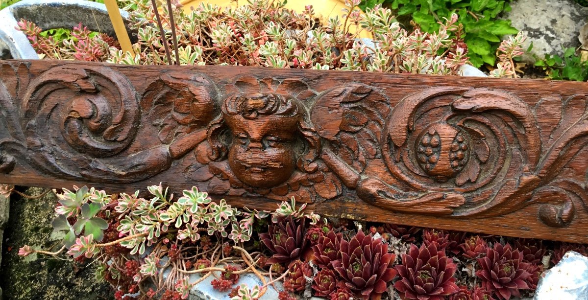 Oak Frieze With Angel And Acanthus Leaves, XVIIIth