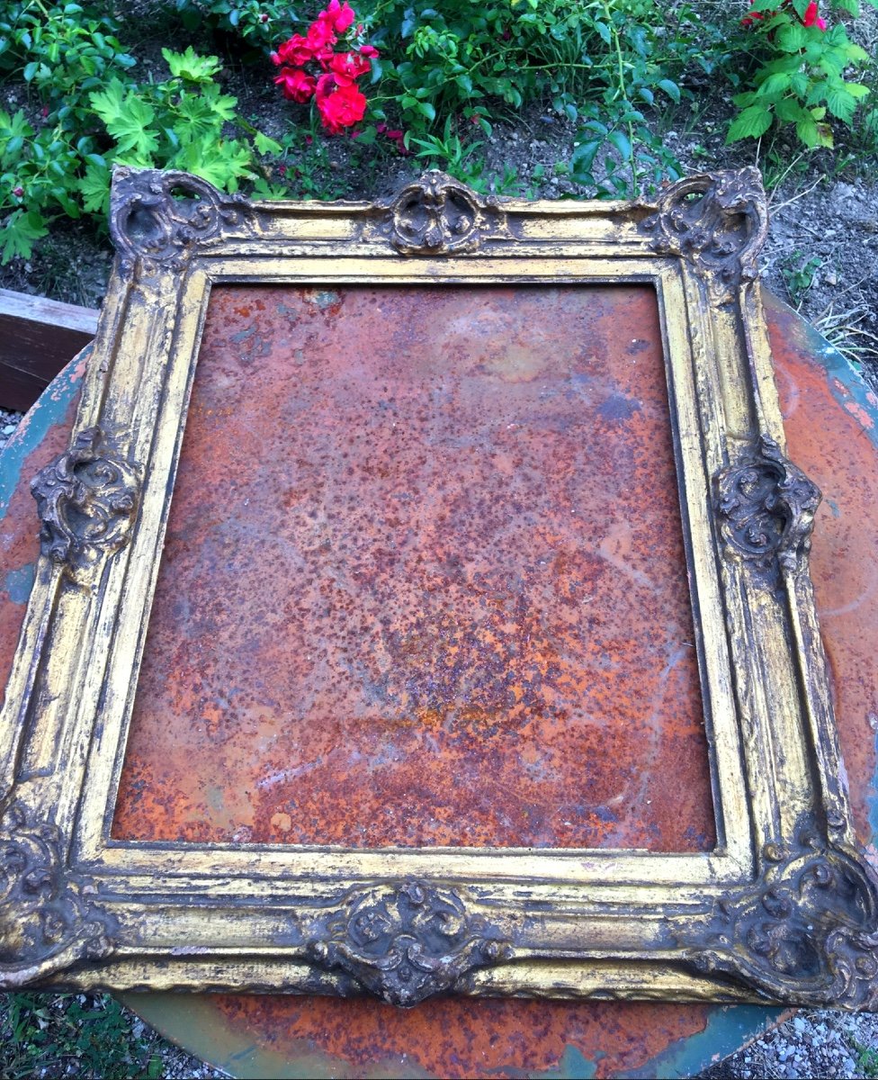 Curiosity: Boiled Cardboard Frame