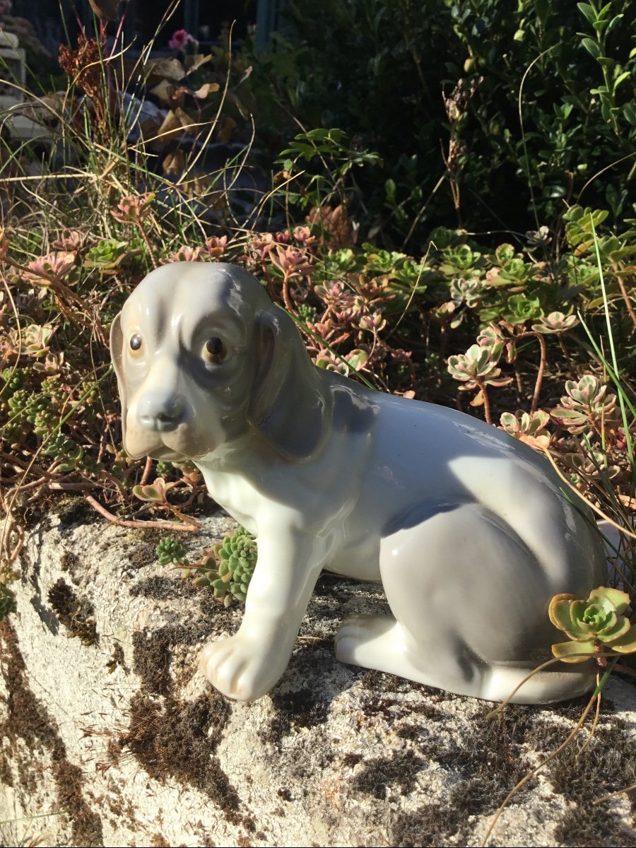 Petit Chien En Porcelaine Polychrome Dlg De Royal Copenhague.-photo-3