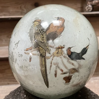 Premiere-Image-1741161