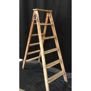 6 Step Workshop Ladder