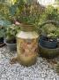 1810396-alb-6a87ffeb5ed7d.jpg
