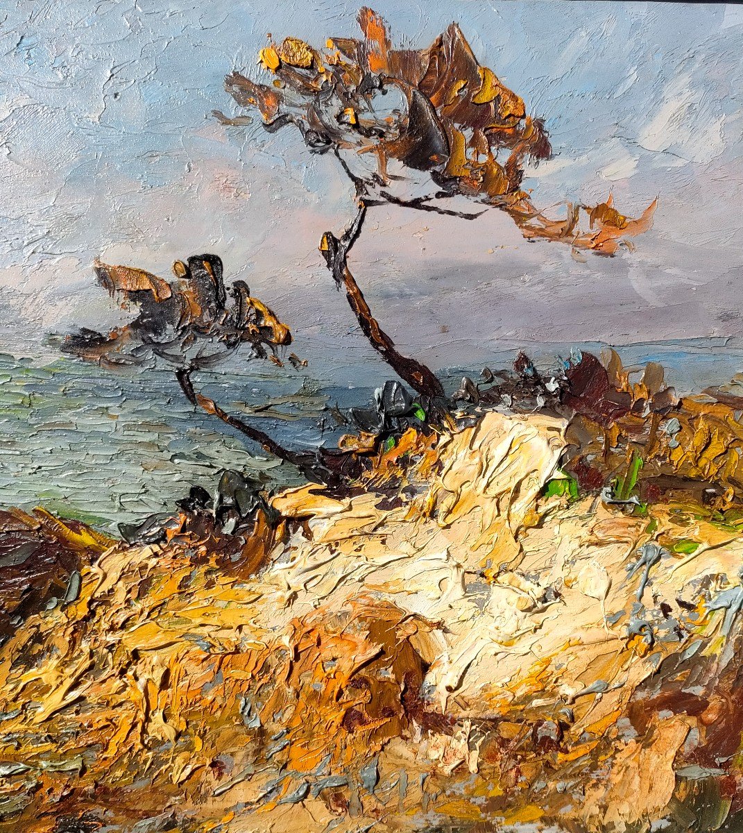 Noel Canepa (1885-1965), Coastline, Oil On Panel, Signed, Framed-photo-2