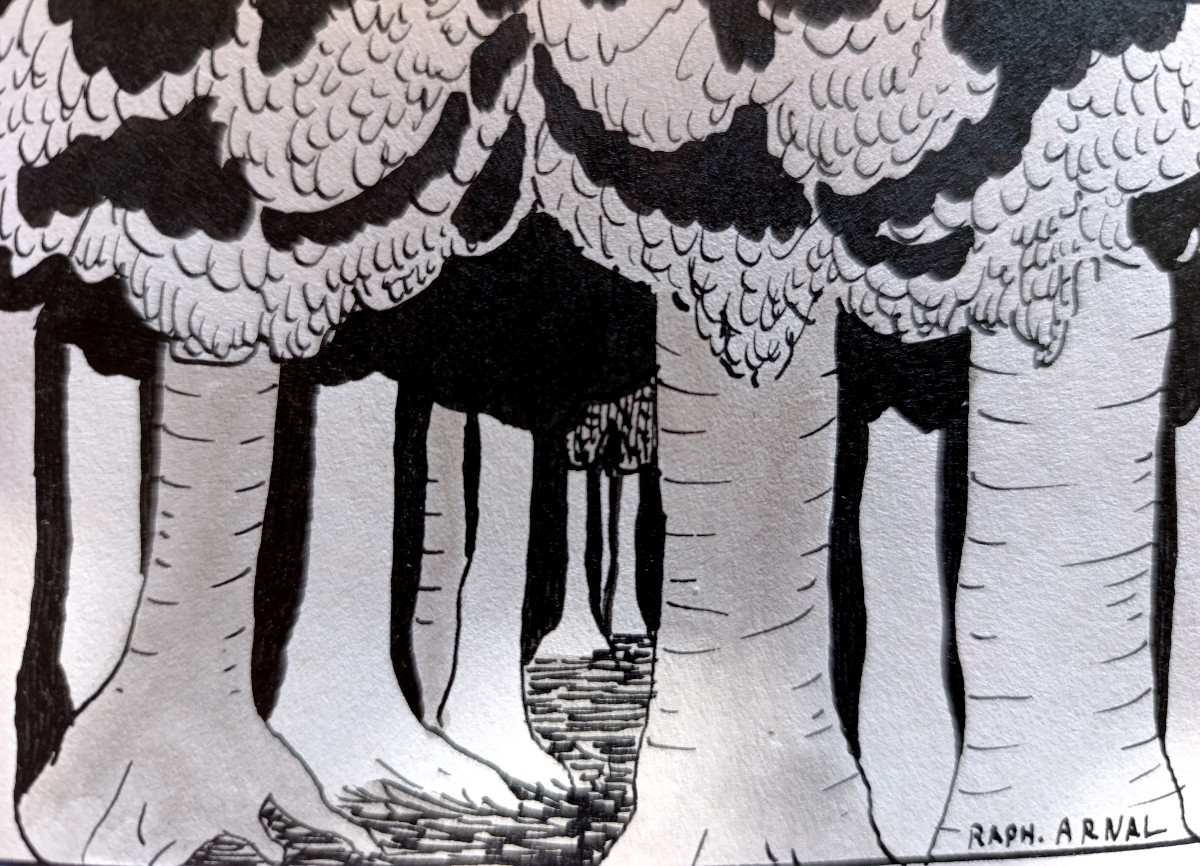 Raphael Arnal (1906-1963), The Forest, Ink On Paper, Signed, Framed, 1932-photo-3