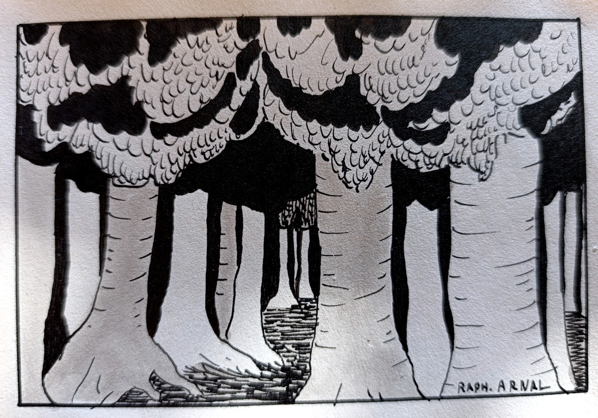 Raphael Arnal (1906-1963), The Forest, Ink On Paper, Signed, Framed, 1932