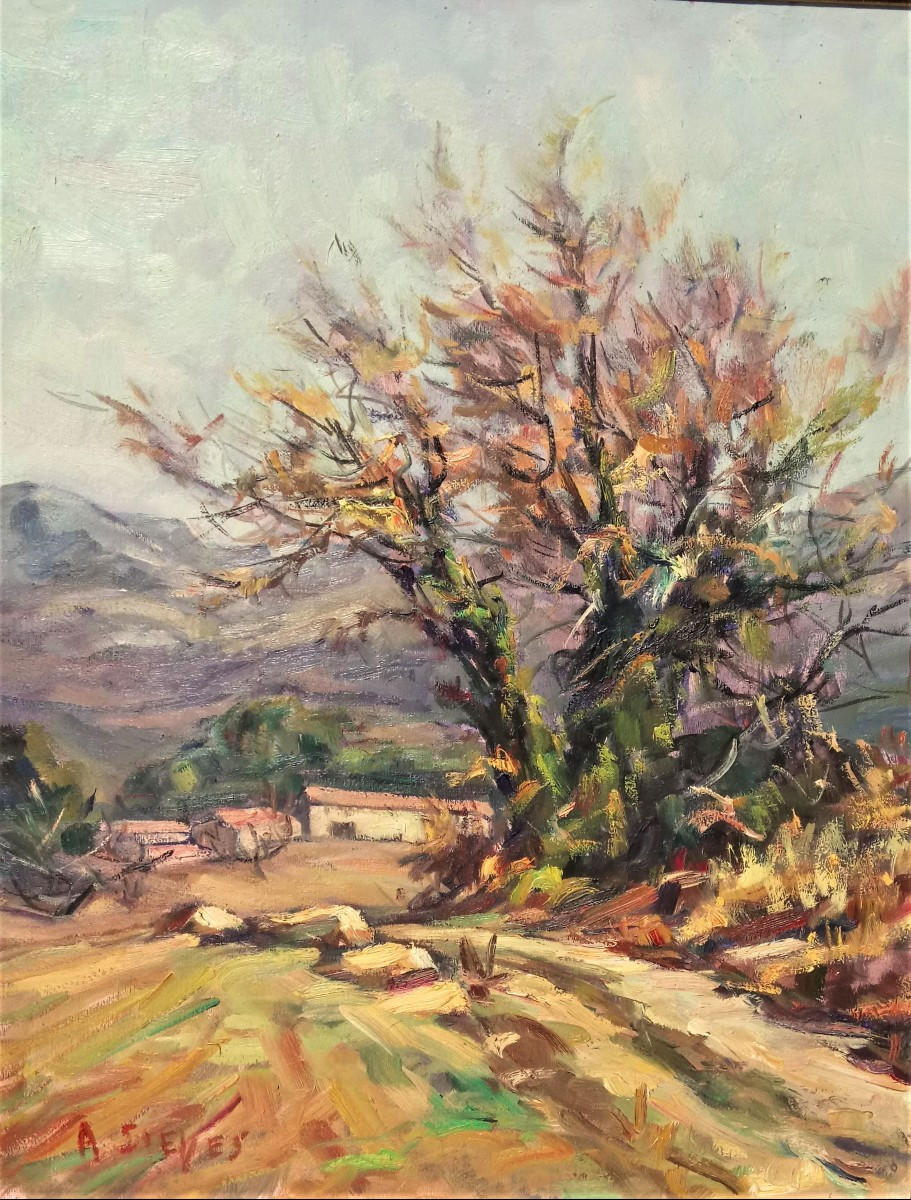 A. Sieyes (1914-1999), l'Amandier En Provence, Huile Sur Panneau Signée, Encadrée