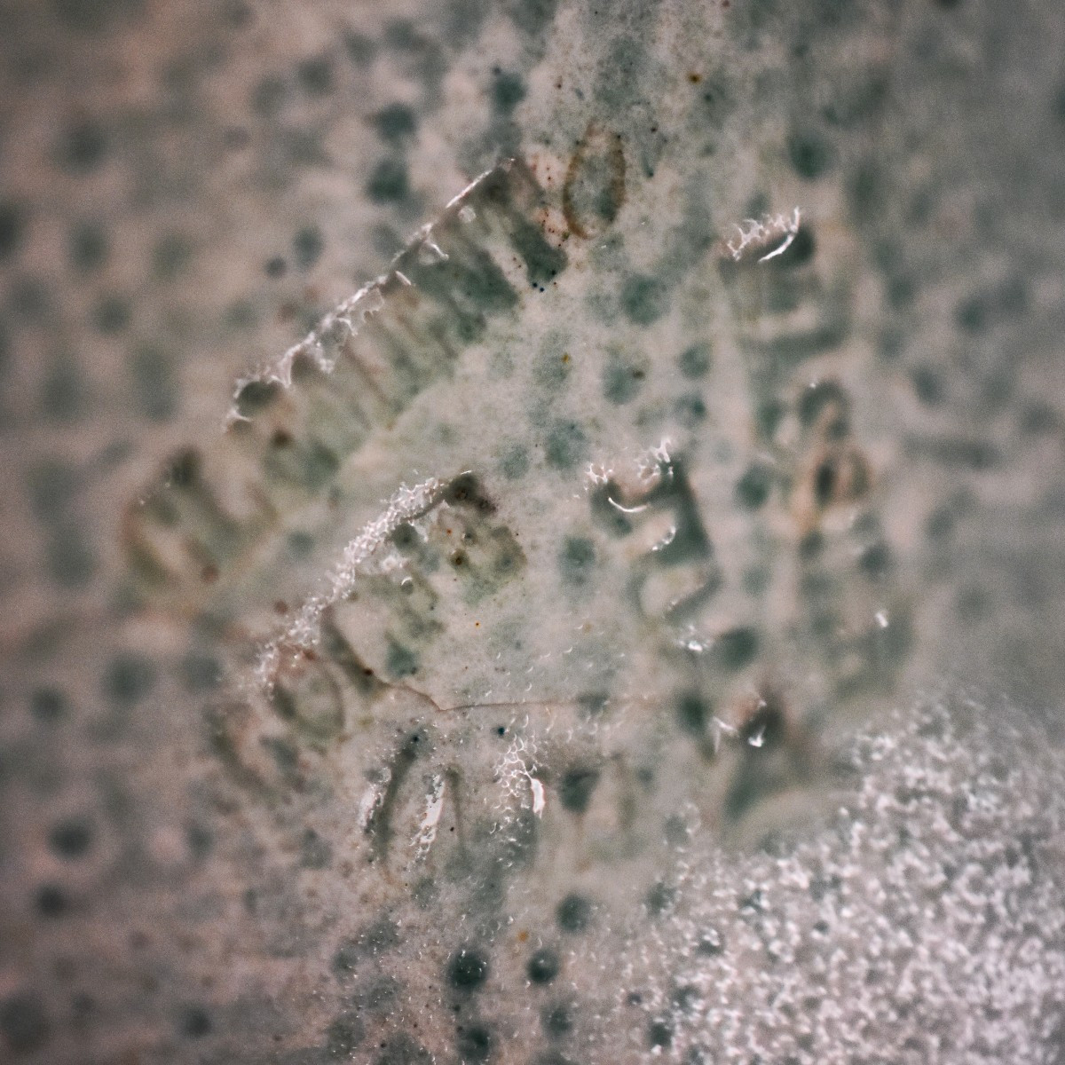 Clement MASSIER (1844-1917 , Grand vase à décor d'ombelles céramique émaillée, Golf Juan, signé-photo-1