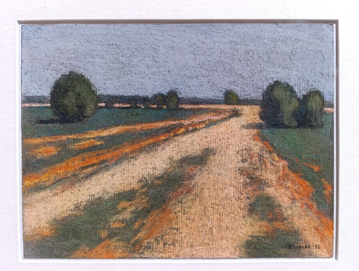Jean-pierre Blanche (1927-), Paysage De La Crau, Pastel On Paper, Signed, Framed-photo-4