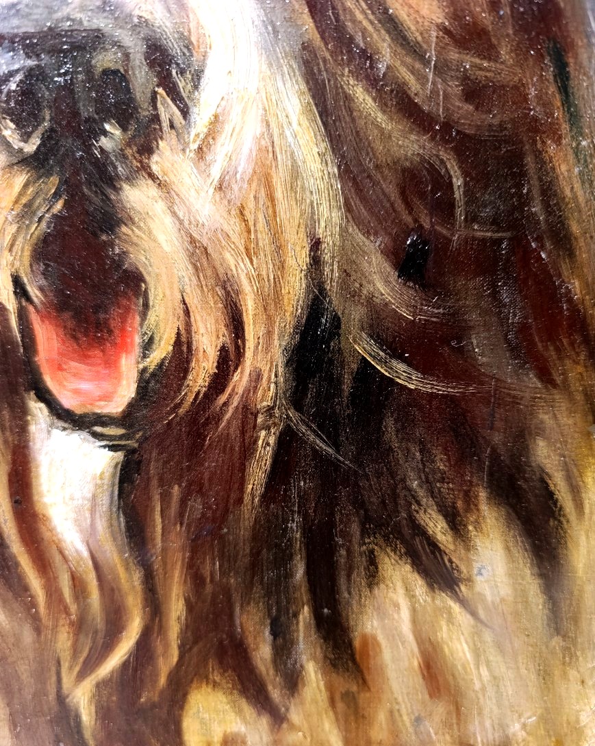 Ecole Française début XXème, Portrait de chien, Huile sur toile, encadrée-photo-2