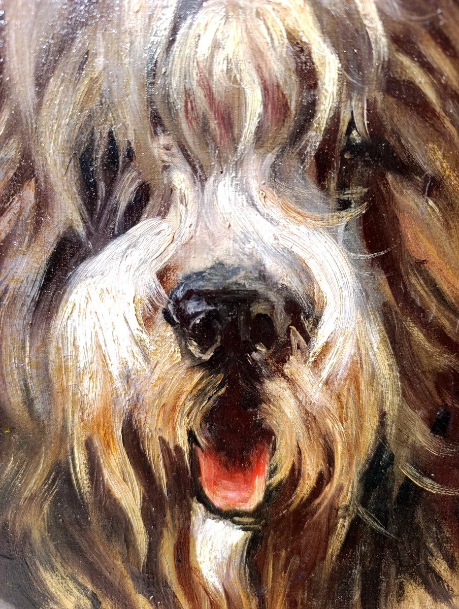 Ecole Française début XXème, Portrait de chien, Huile sur toile, encadrée-photo-3