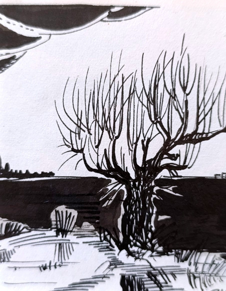 Raphael Arnal (1906-1963), Le vieux murier, Encre Sur Papier, Signée, Encadrée, 1932-photo-2