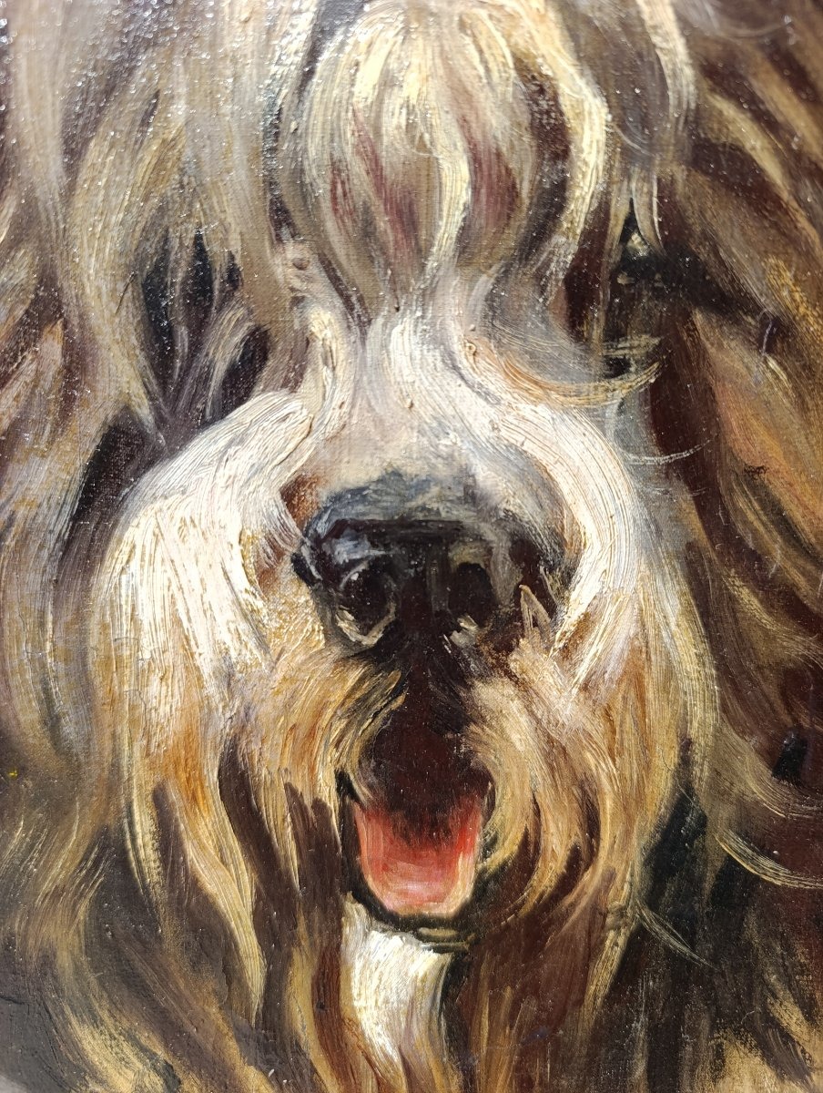 Ecole Française début XXème, Portrait de chien, Huile sur toile, encadrée-photo-1