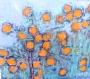 1764799-6a106968ecb3b.jpg
