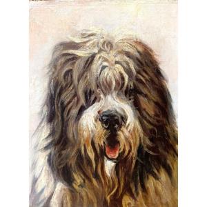 Ecole Française début XXème, Portrait de chien, Huile sur toile, encadrée