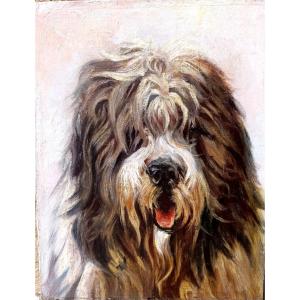 Ecole Française début XXème, Portrait de chien, Huile sur toile, encadrée