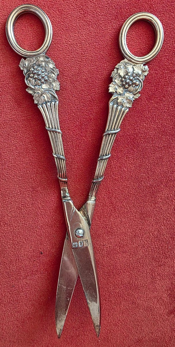 Ciseaux à raisin en argent massif – Benjamin & James Smith – Londres 1811-photo-1