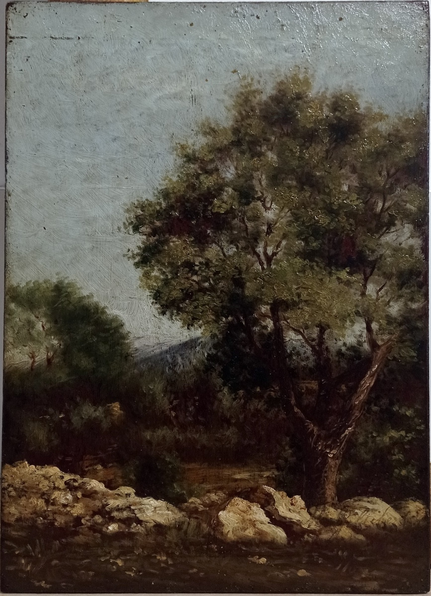 Southern Landscape, French School 19th Century, Signed Gillibert?