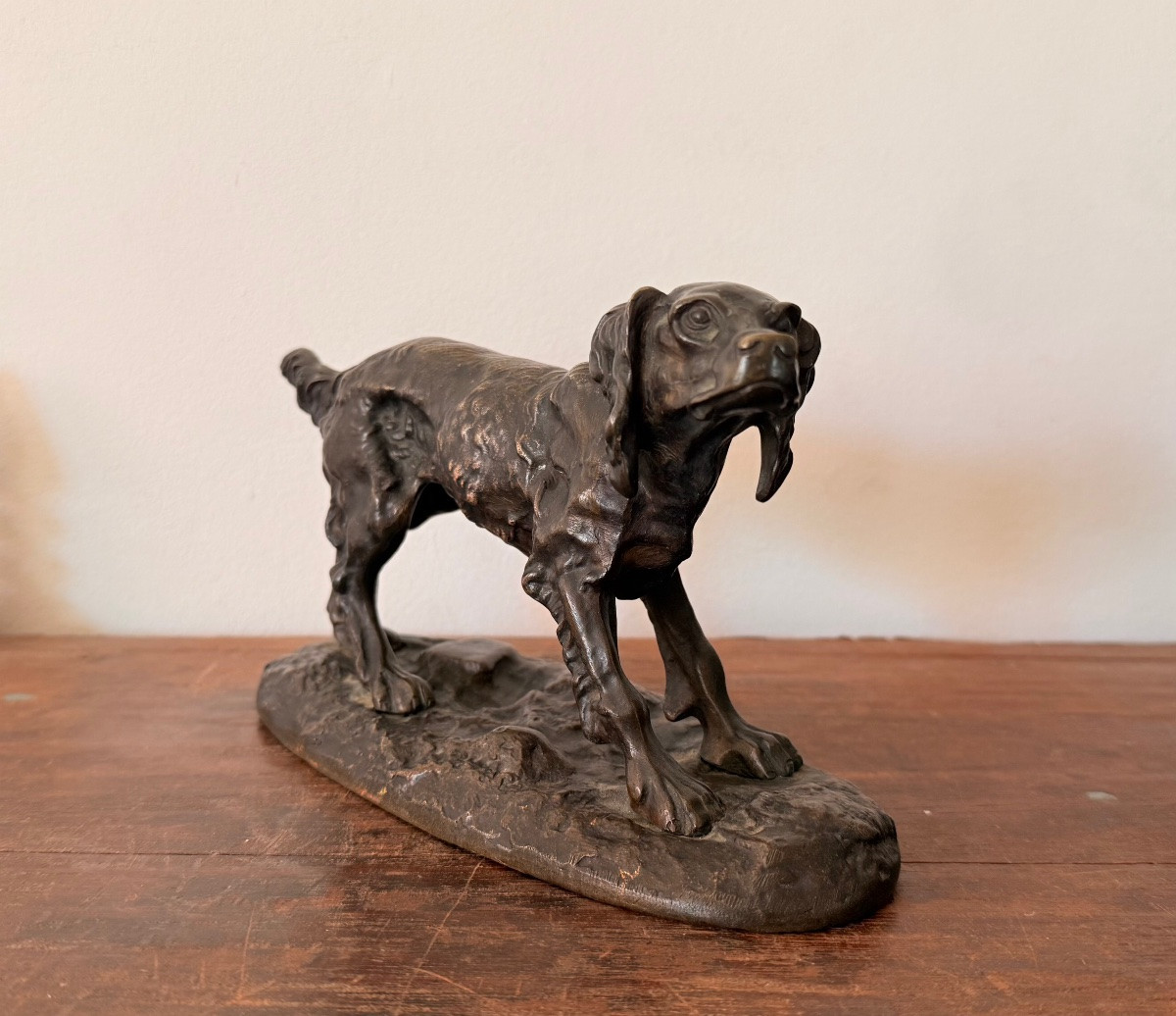 Bronze Hunting Dog - 19th Century-photo-2