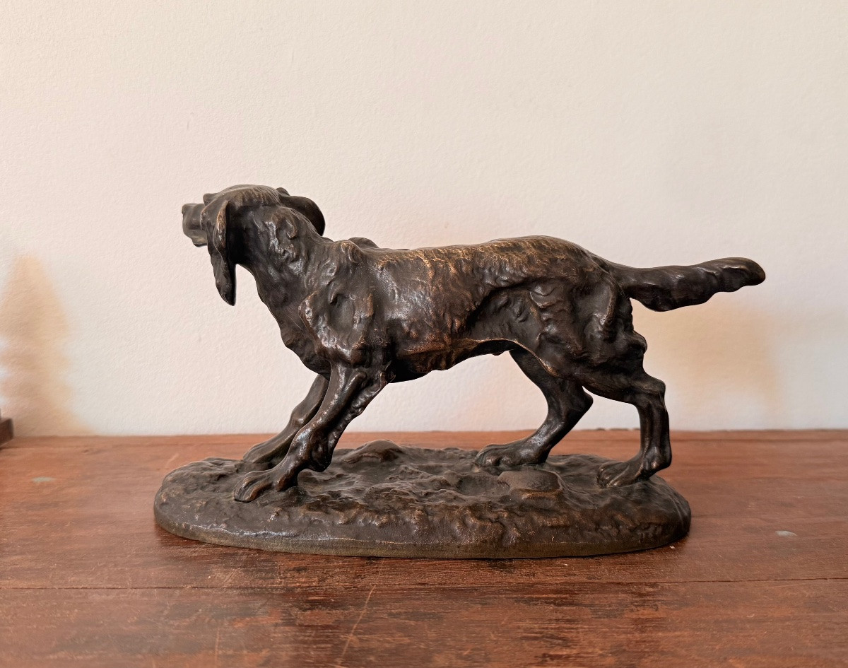 Bronze Hunting Dog - 19th Century-photo-4