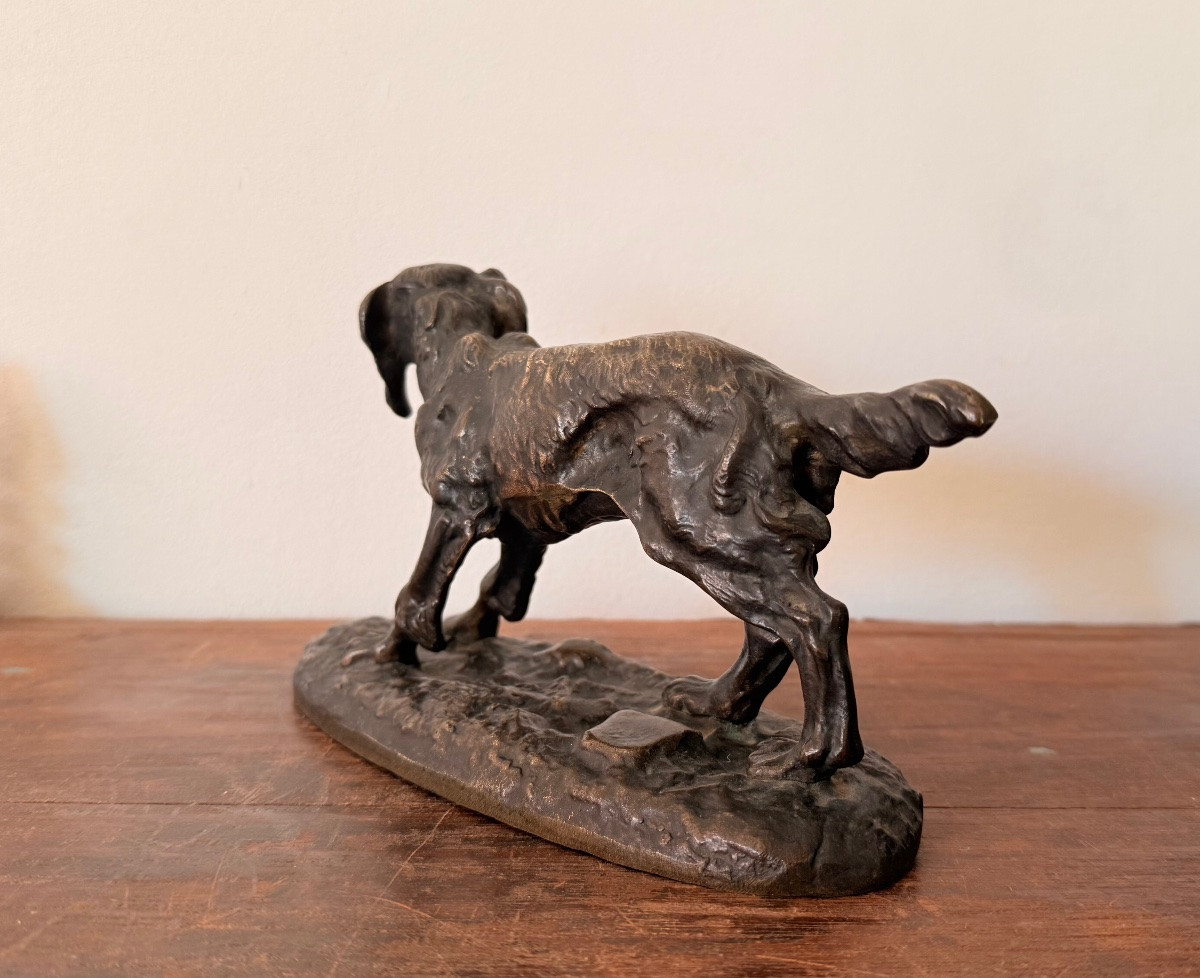 Bronze Hunting Dog - 19th Century-photo-1