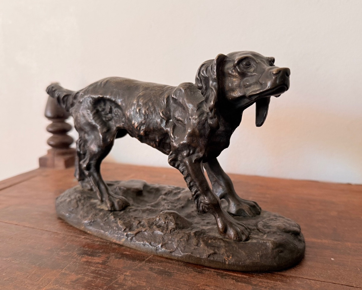 Bronze Hunting Dog - 19th Century-photo-3