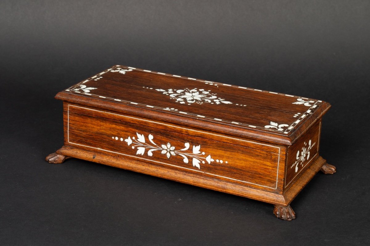 Box - Inlaid Cassone, Rosewood, Ivory, 19th Century-photo-3
