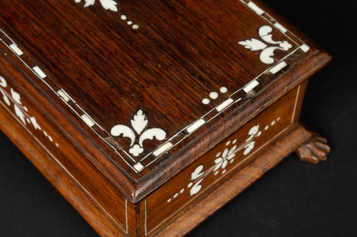 Box - Inlaid Cassone, Rosewood, Ivory, 19th Century-photo-4