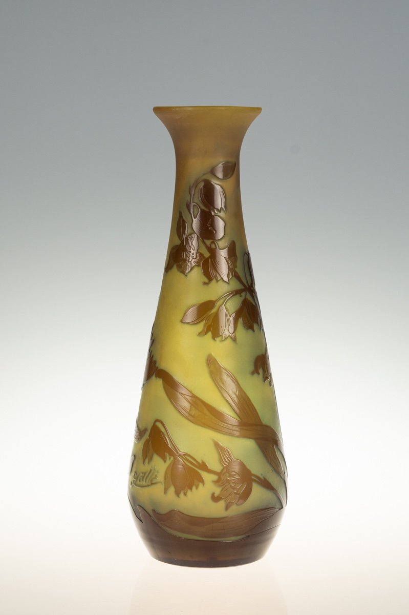 Vase Aux Plantes Aquatiques, Emile Gallé, Art Nouveau, Nancy, Début Du XXe Siècle