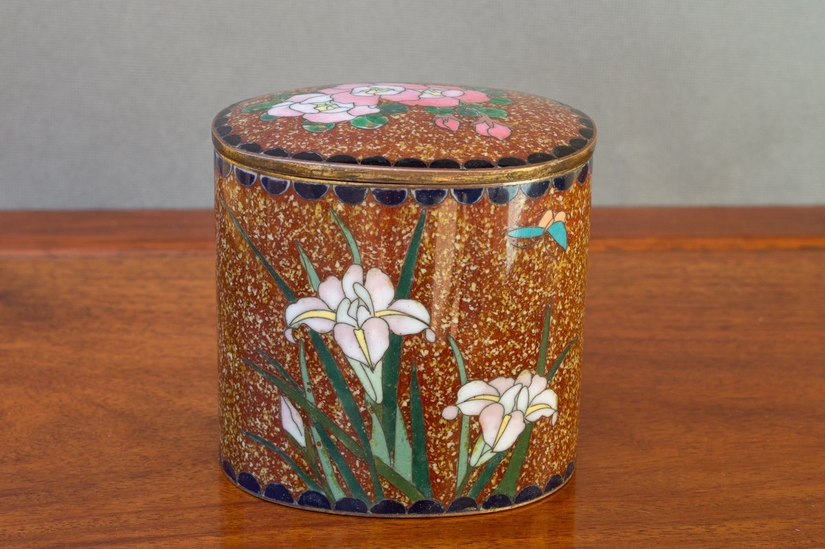 Cloisonne Box With Roses And Irises, Japan, Meiji Era (1868-1912).-photo-3