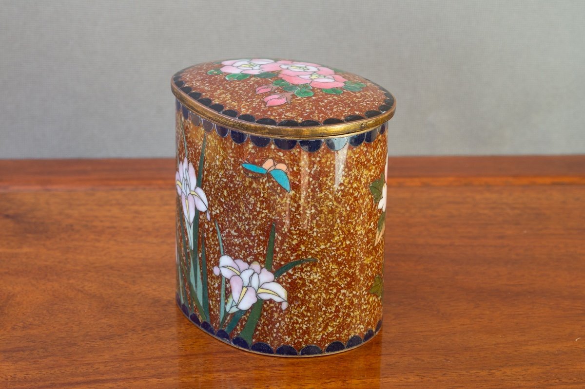 Cloisonne Box With Roses And Irises, Japan, Meiji Era (1868-1912).-photo-4