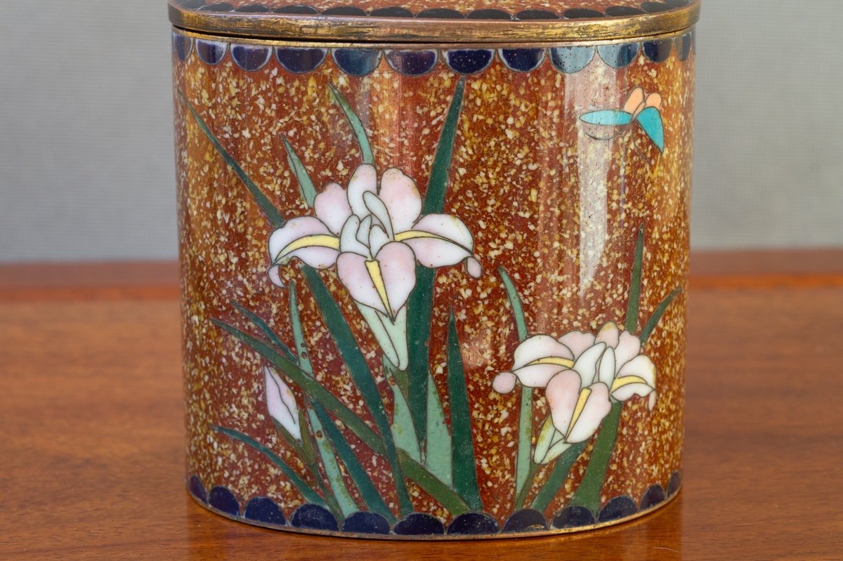 Cloisonne Box With Roses And Irises, Japan, Meiji Era (1868-1912).-photo-1