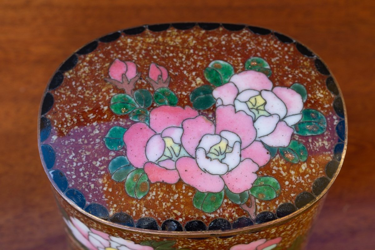 Boite Cloisonnée Avec Des Roses Et Des Iris, Japon, ère Meiji (1868-1912).  -photo-5