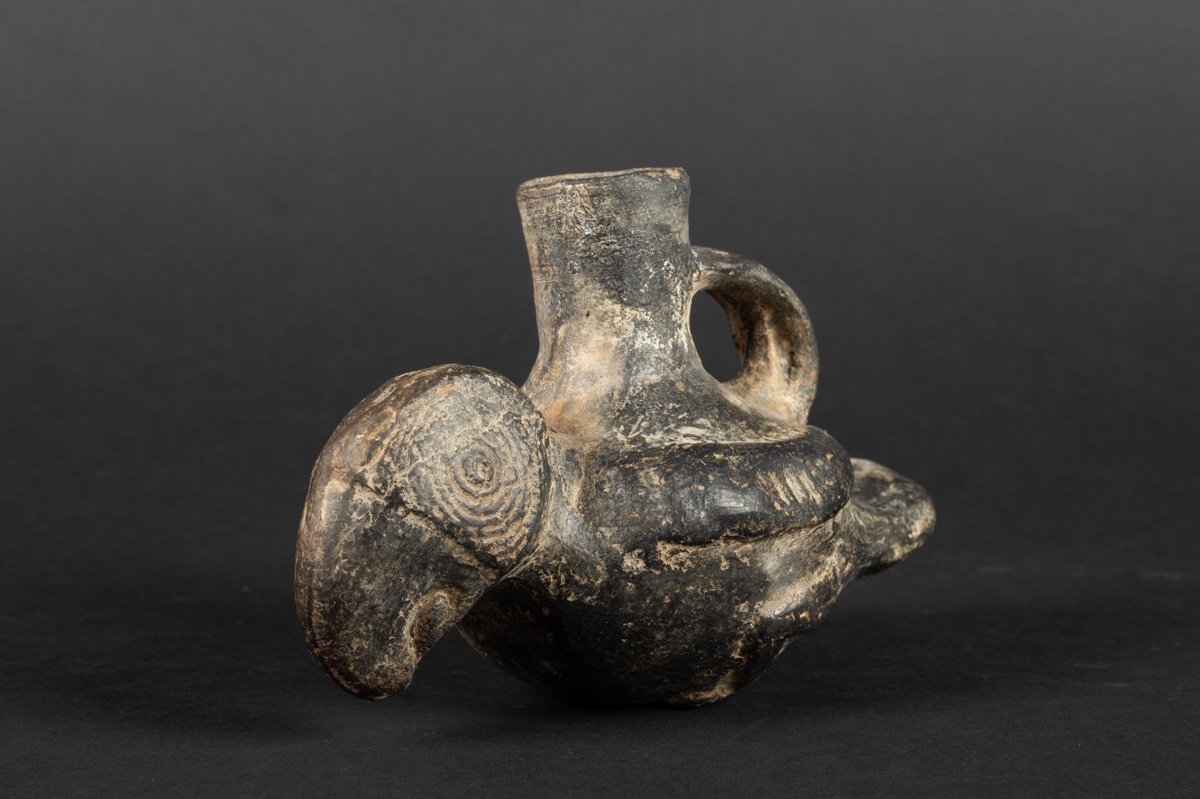 Vase à Perroquet, Pérou, Chimu, Xe-xve Siècle, Culture Précolombienne -photo-3