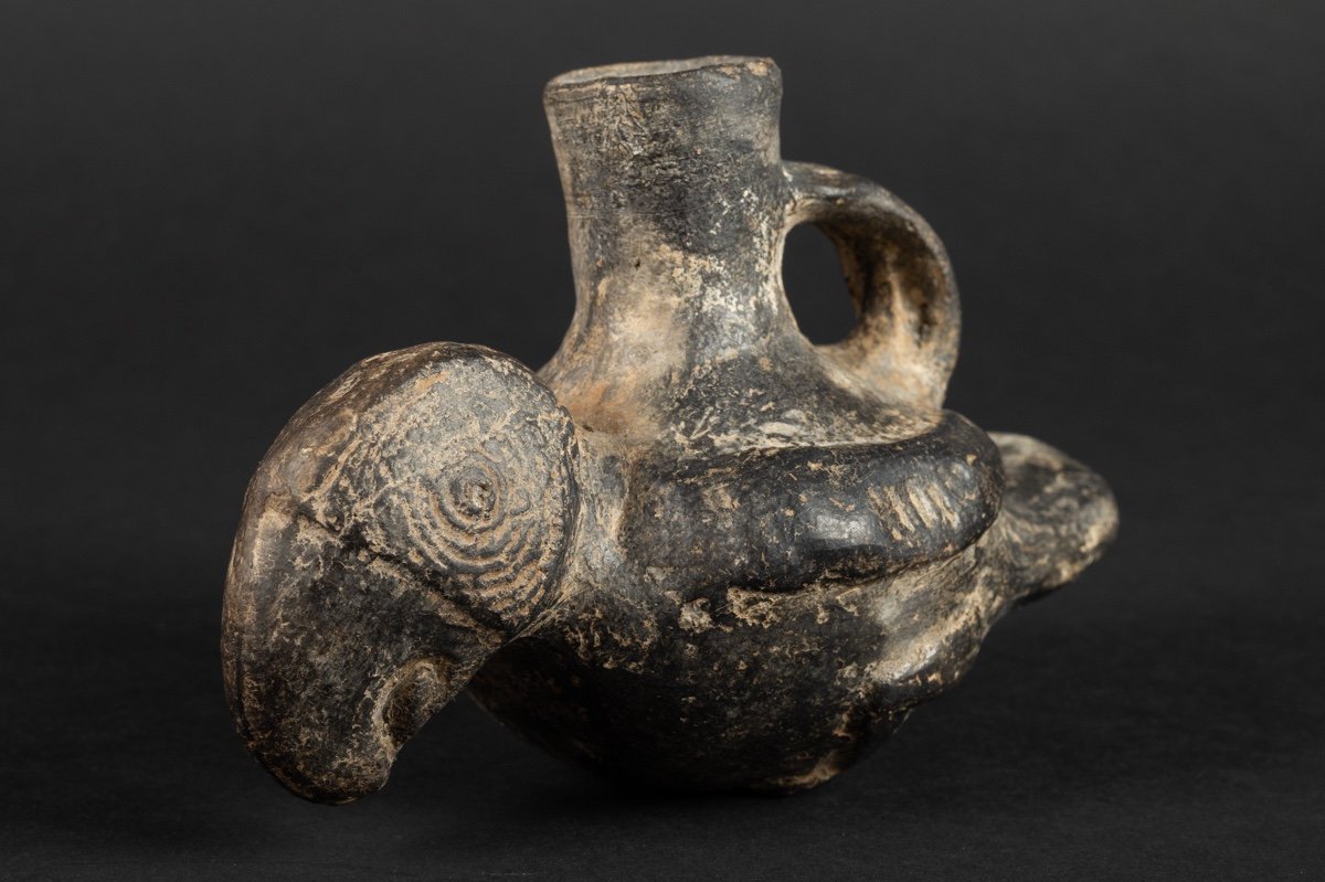 Parrot Vase, Peru, Chimu, 10th-15th Century, Pre-columbian Culture-photo-4