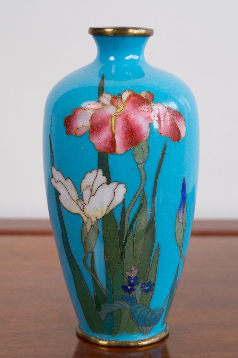 Cloisonne Vase With Irises, Japan, Meiji Era (1868-1912)-photo-1