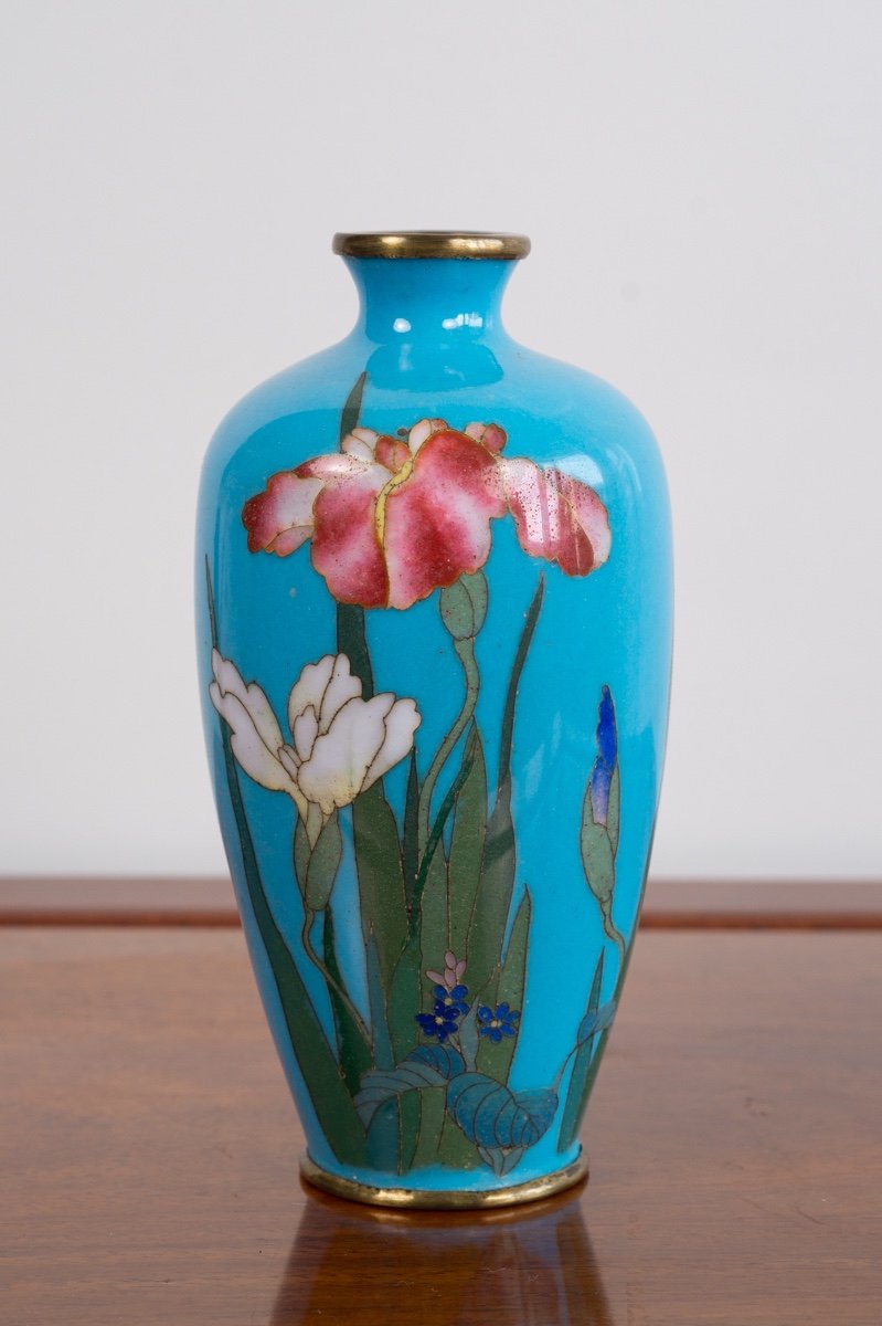 Vase Cloisonné Avec Des Iris, Japon, ère Meiji (1868-1912)