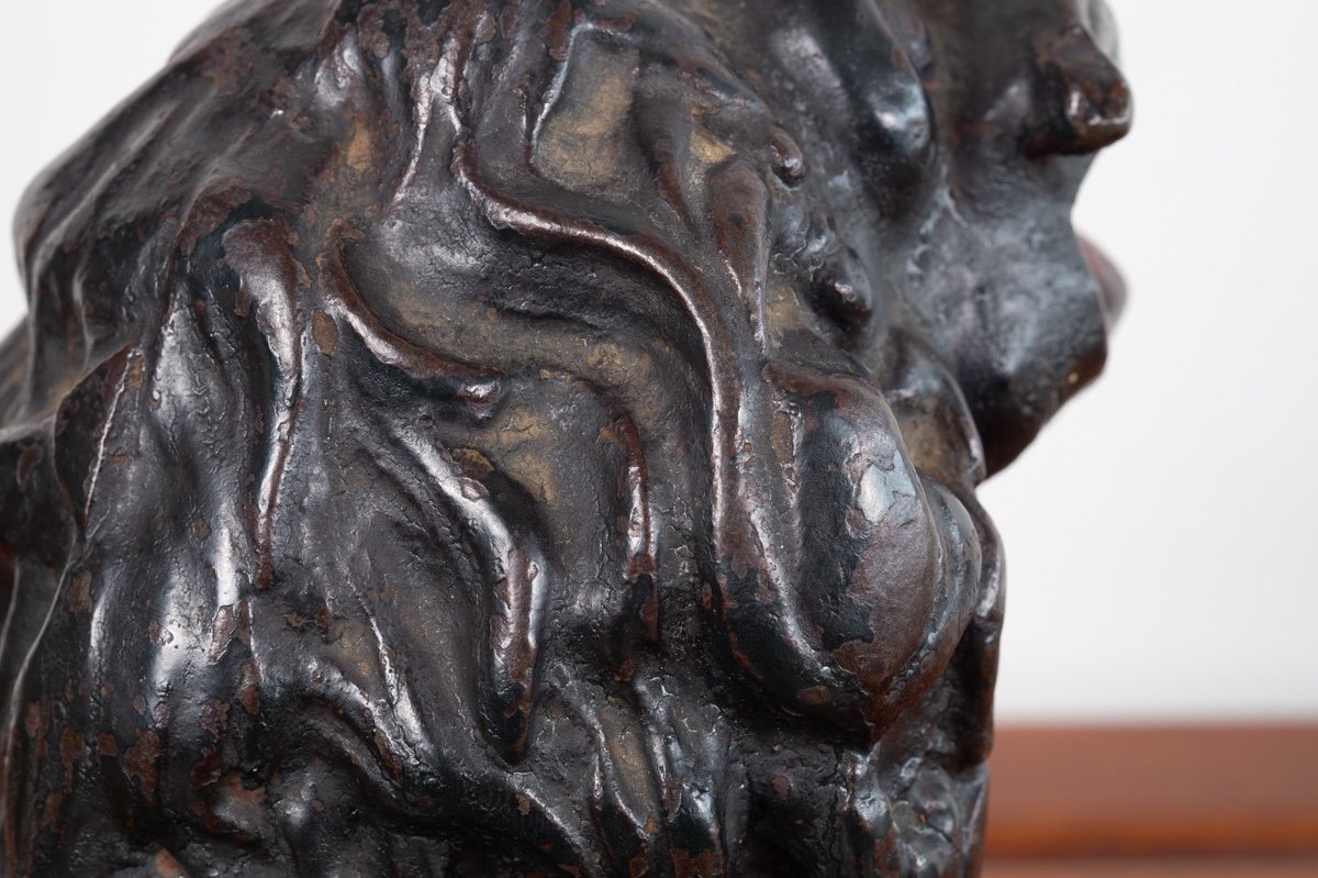 Lion's Head From The "frog Game", Bronze, France, 18th/19th Century.-photo-7