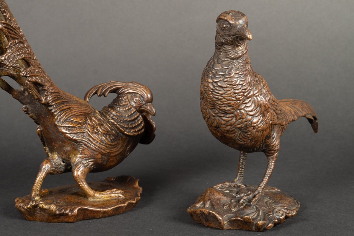 Pair Of Pheasants, Bronze, France, 19th Century.-photo-6