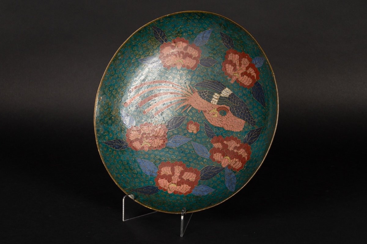 Cloisonne Dish With Phoenix, Japan, Edo, Circa 1850.-photo-3