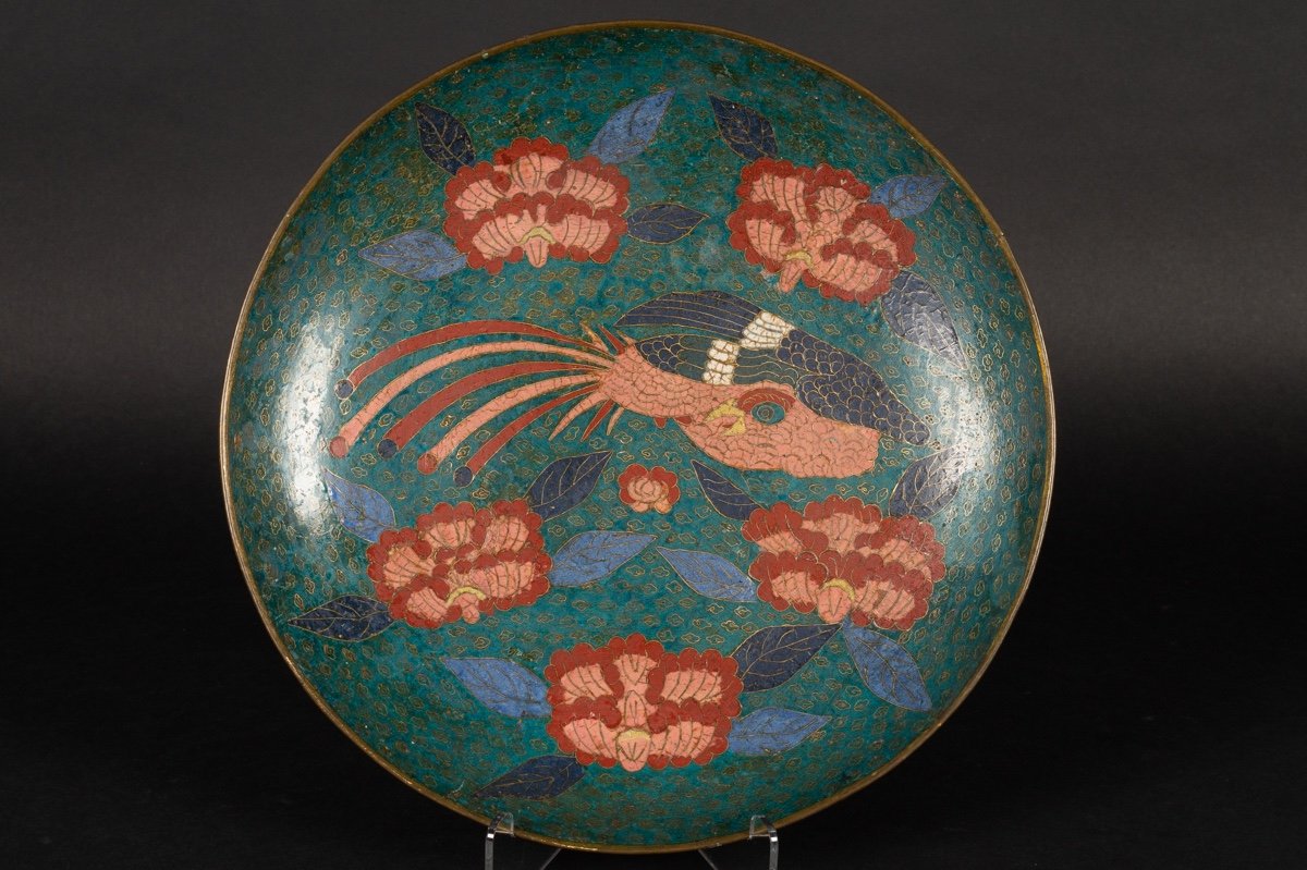 Cloisonne Dish With Phoenix, Japan, Edo, Circa 1850.-photo-4