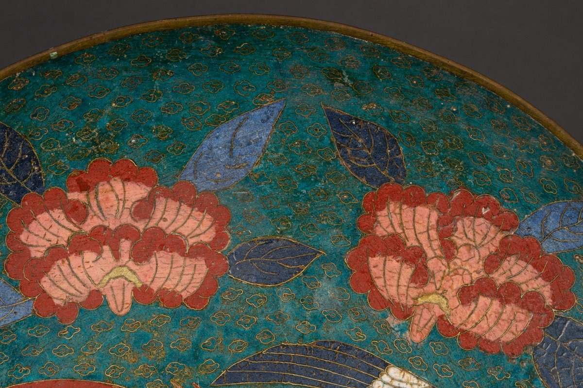 Plat avec Phoenix, cloisonné, Japon, époque Edo, vers 1850.-photo-3