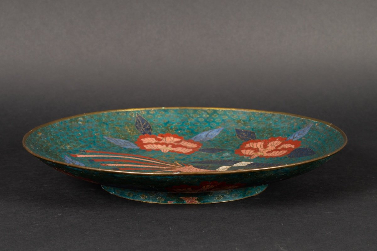 Cloisonne Dish With Phoenix, Japan, Edo, Circa 1850.-photo-8