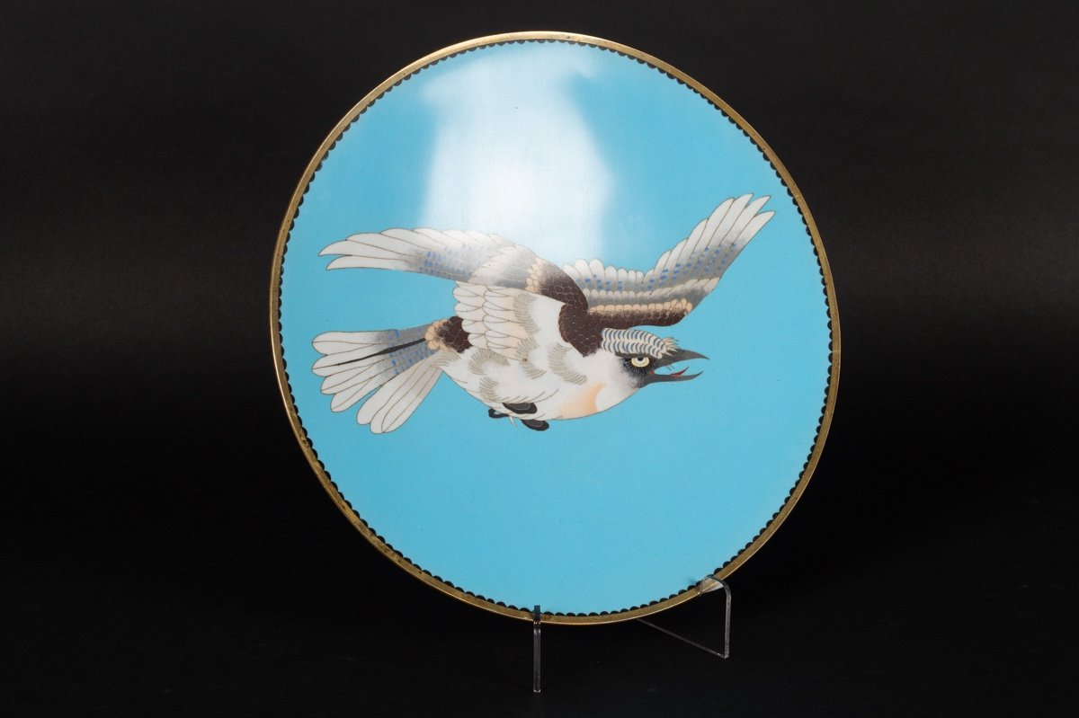 Plat En Cloisonné à Aigle, Japon, ère Meiji (1868-1912).  -photo-2