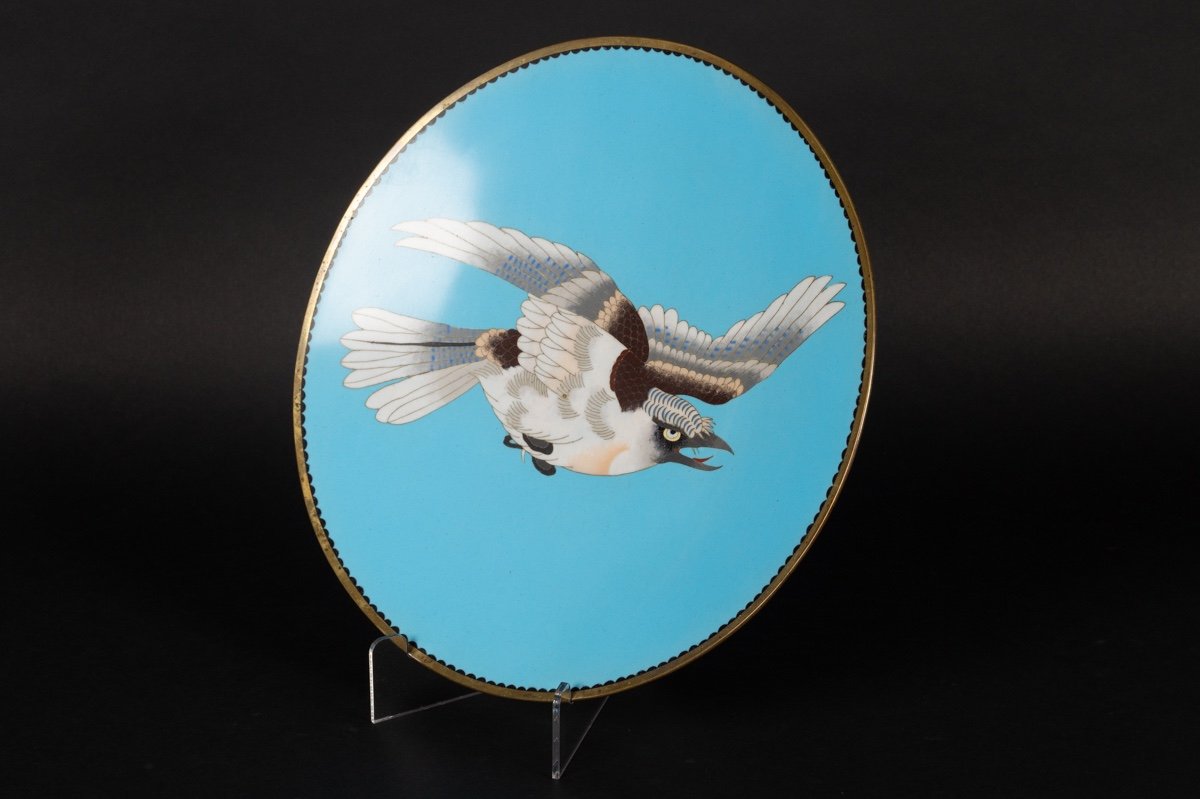 Plat En Cloisonné à Aigle, Japon, ère Meiji (1868-1912).  -photo-3