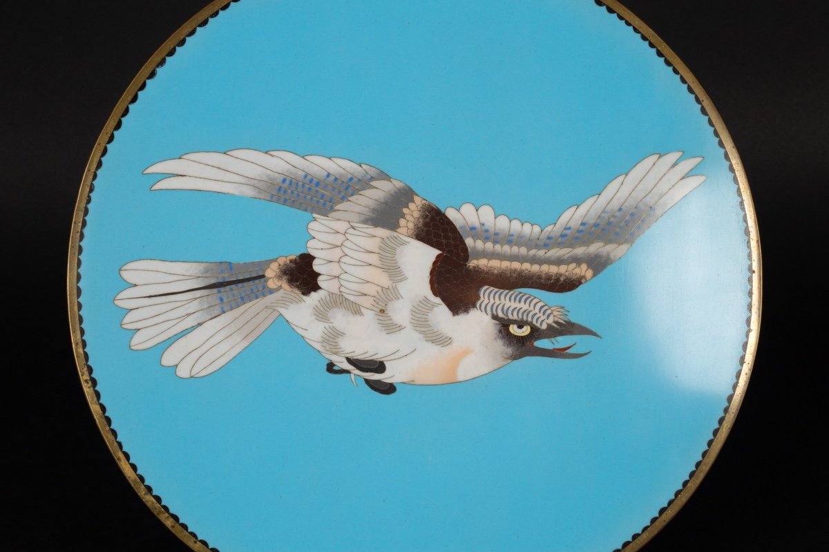 Plat En Cloisonné à Aigle, Japon, ère Meiji (1868-1912).  -photo-4