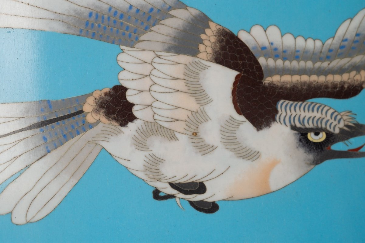 Plat En Cloisonné à Aigle, Japon, ère Meiji (1868-1912).  -photo-3