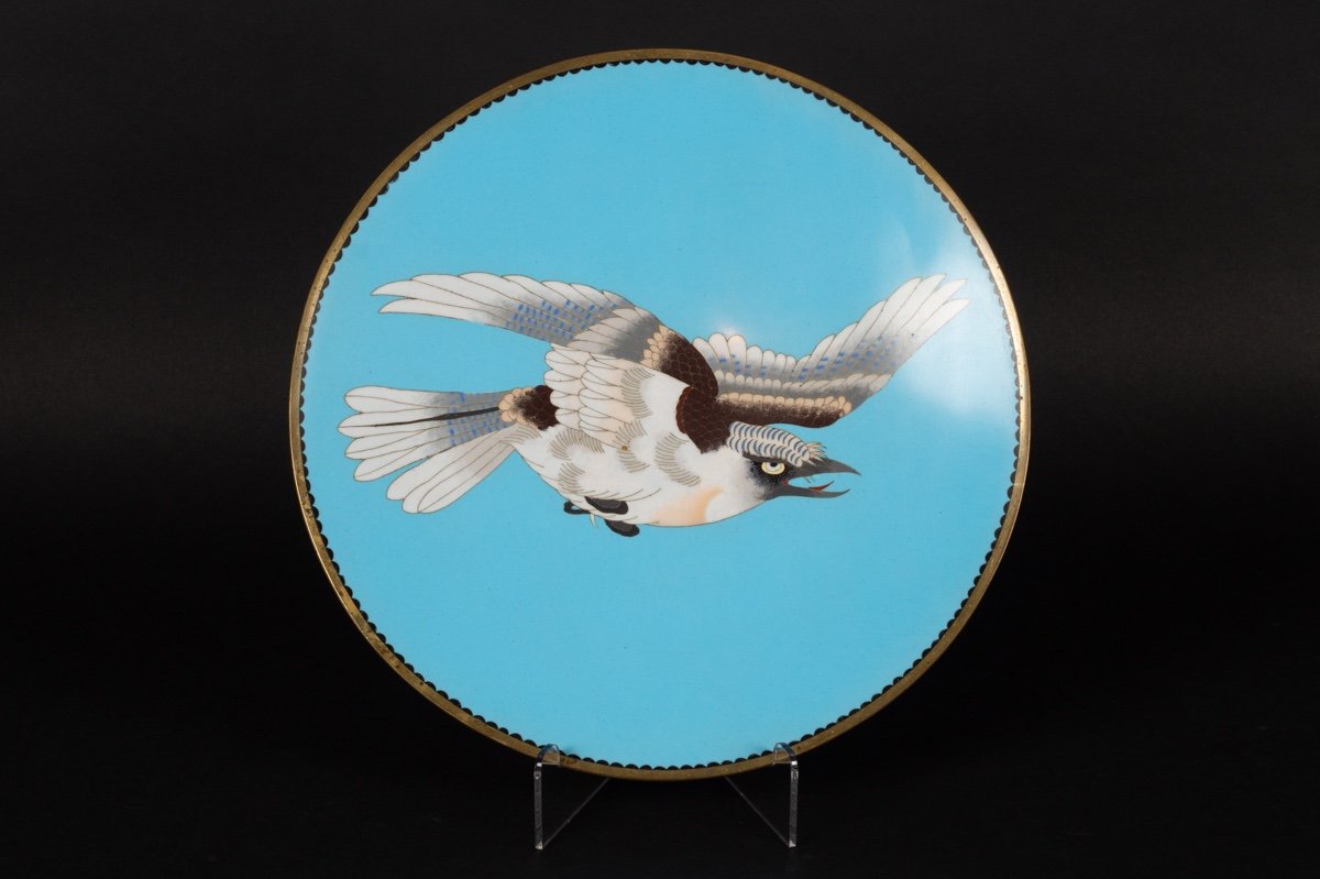 Plat En Cloisonné à Aigle, Japon, ère Meiji (1868-1912).  